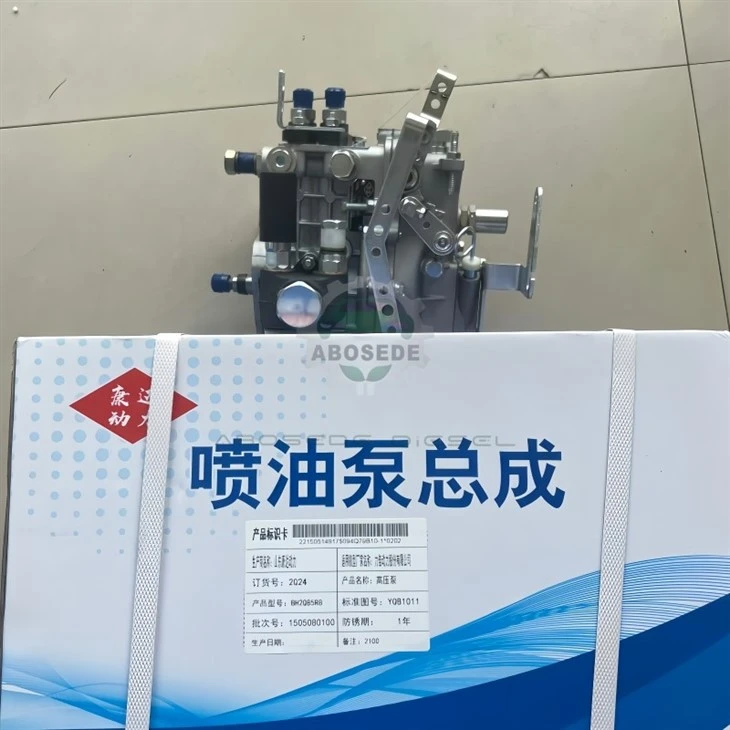 KANGDA 2Q24 BH2Q85R8 Fuel Injection Pump – Direct Fit For Jiangdong 2100 suppliers
